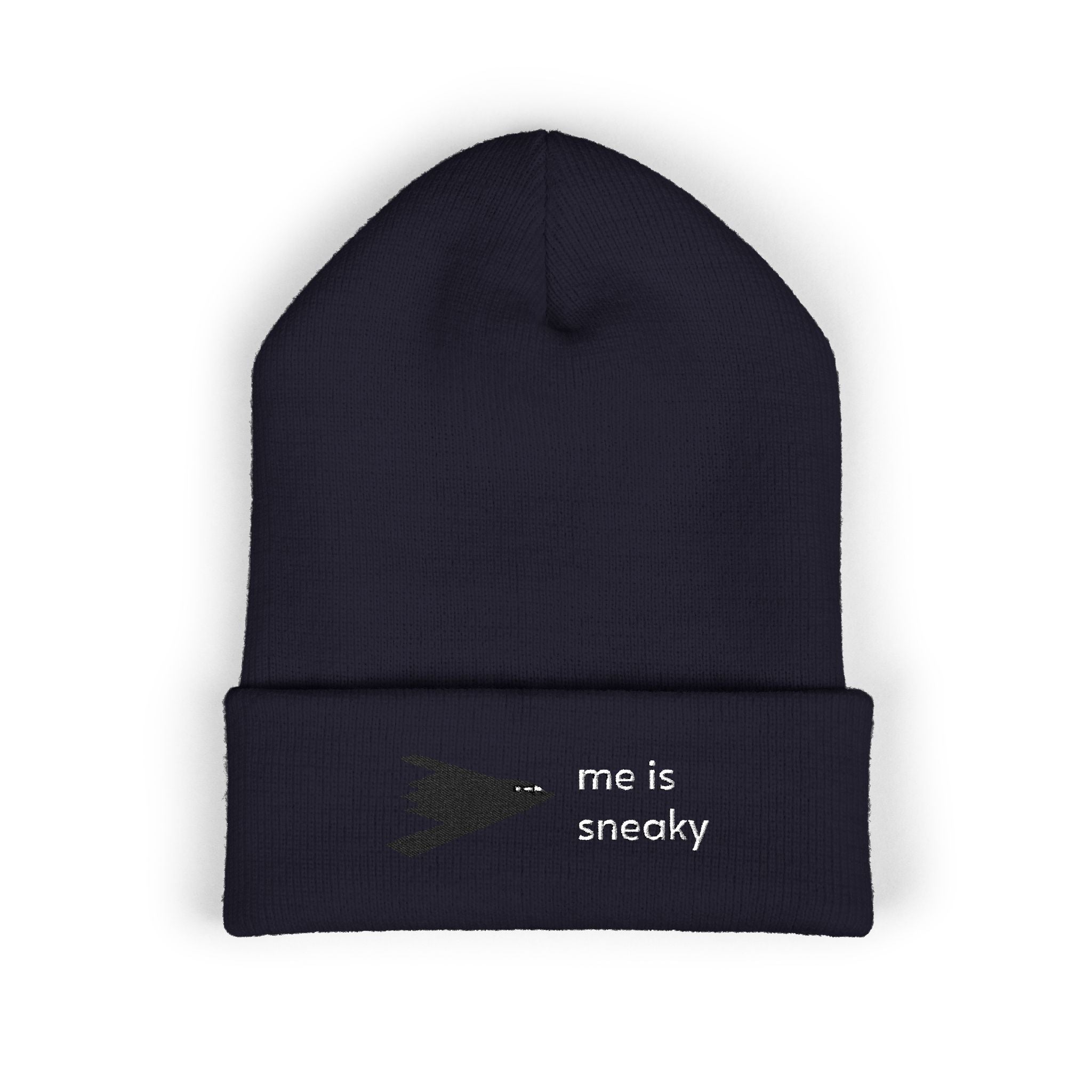 Sneaky B-2 Beanie